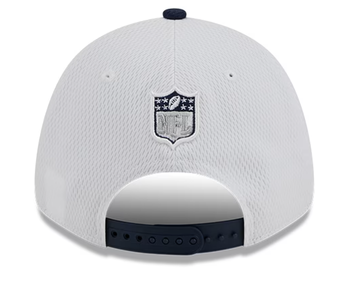Dallas Cowboys New Era 2023 Sideline 9Forty Snap Back Hat Gray