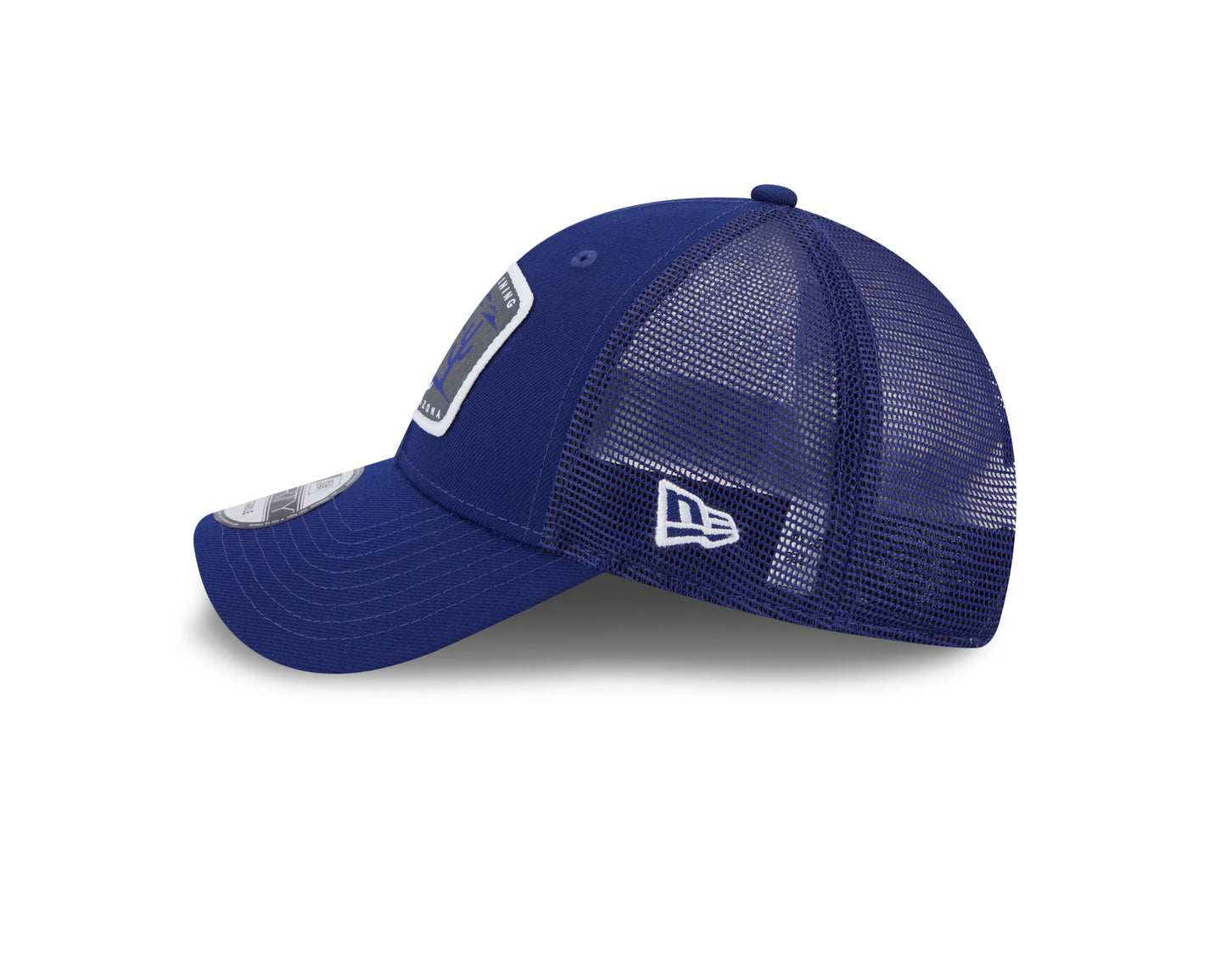 Los Angeles Dodgers 2023 New Era Spring Training Heater 9Forty Hat