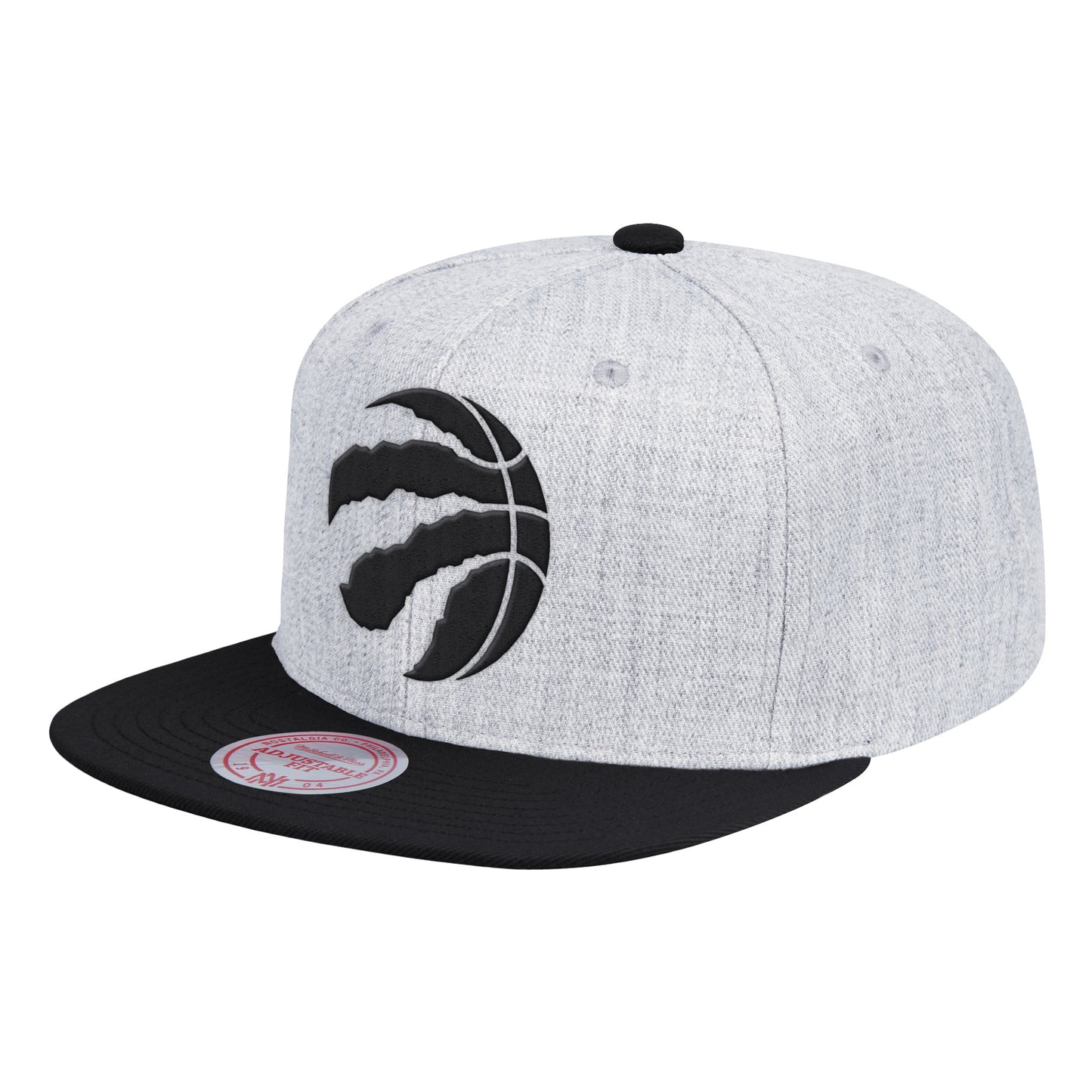 Toronto Raptors Mitchell & Ness Black Pop Snapback Hat - Gray