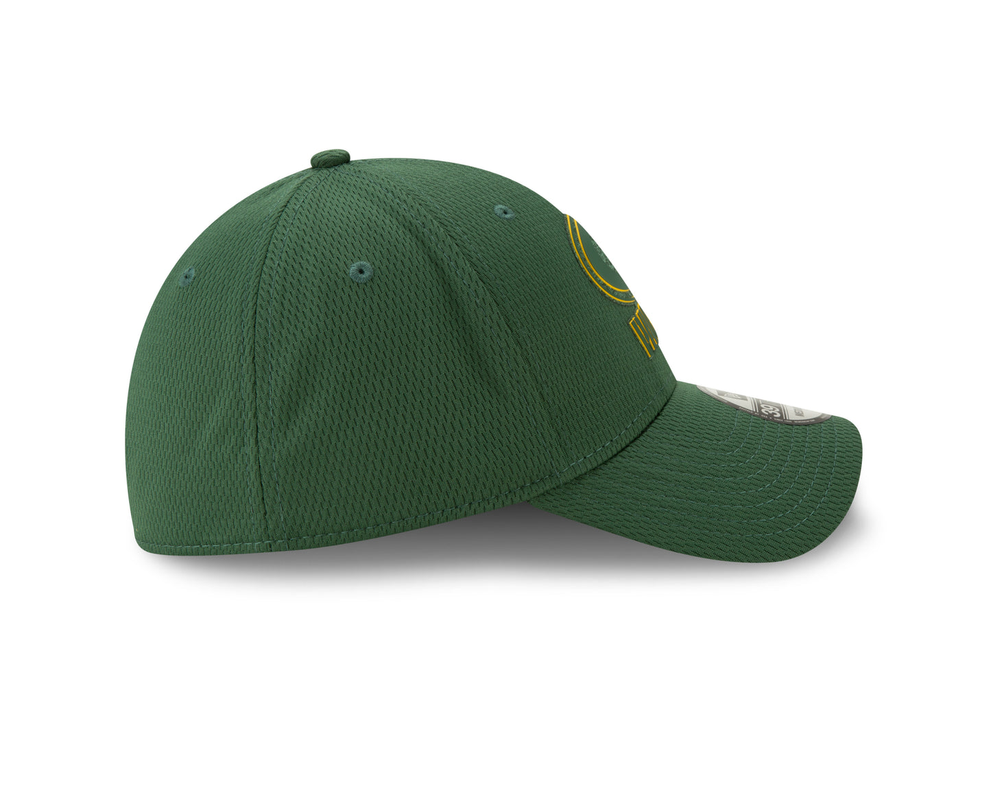 Green Bay Packers New Era Green 2T Mold 39THIRTY Hat