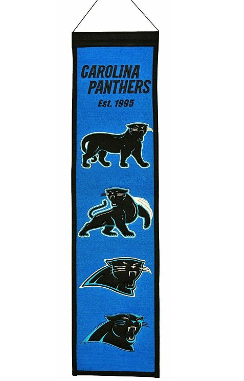 Carolina Panthers Team Evolution Heritage 8 X 32 Wool Banner