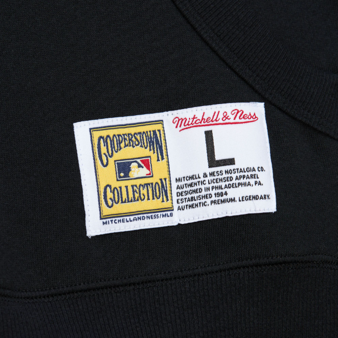 Los Angeles Dodogers Mitchell & Ness Game Time Vintage Hoodie