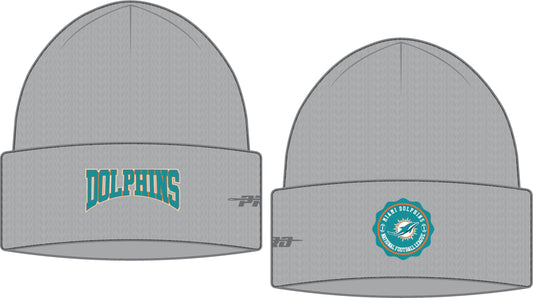 Miami Dolphins Pro Standard Crest Emblem Beanie Knit Hat - Gray