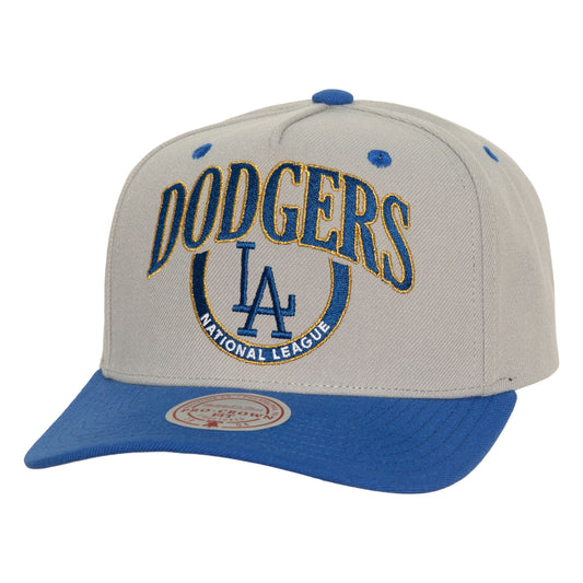 Los Angeles Dodgers Mitchell & Ness Crown Jewels Pro Snapback
