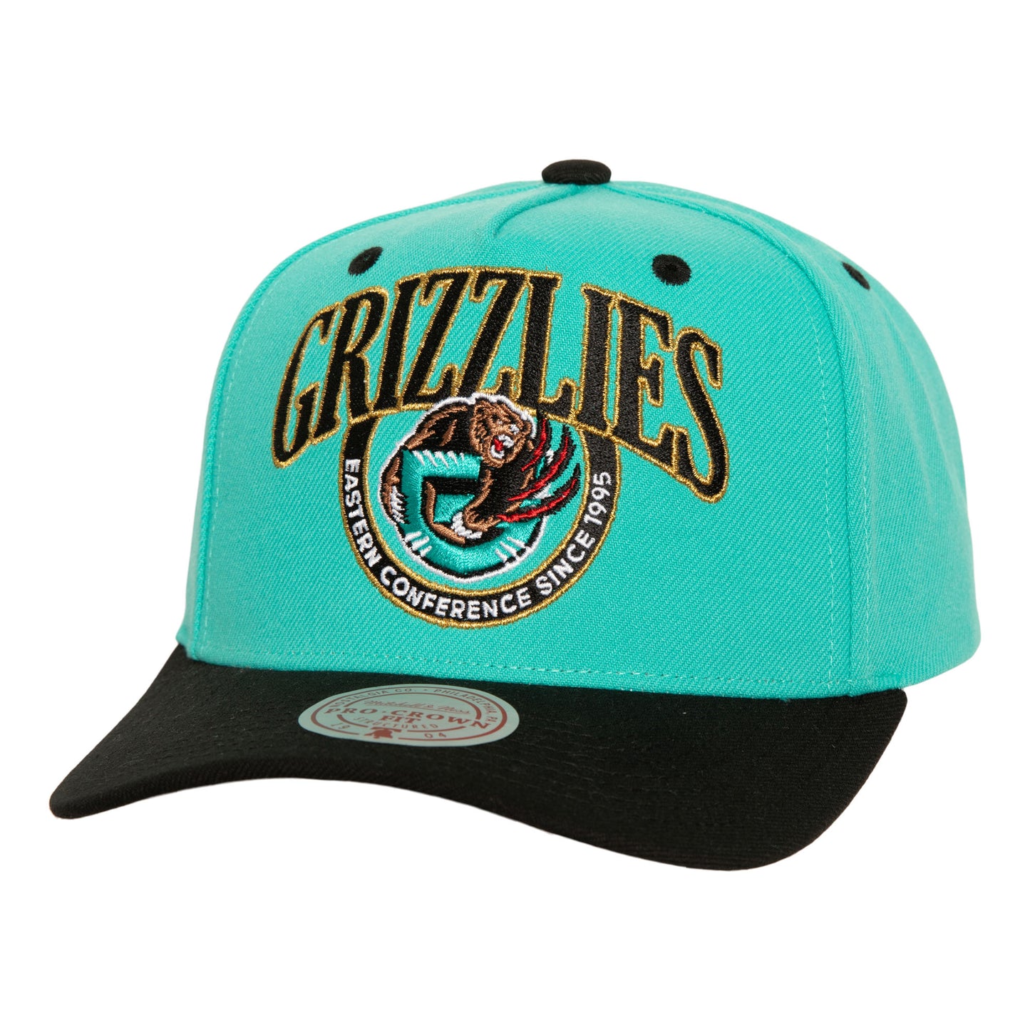 Memphis Grizzlies Mitchell & Ness Crown Jewels Pro Snapback