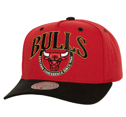Chicago Bulls Mitchell & Ness Crown Jewels Pro Snapback