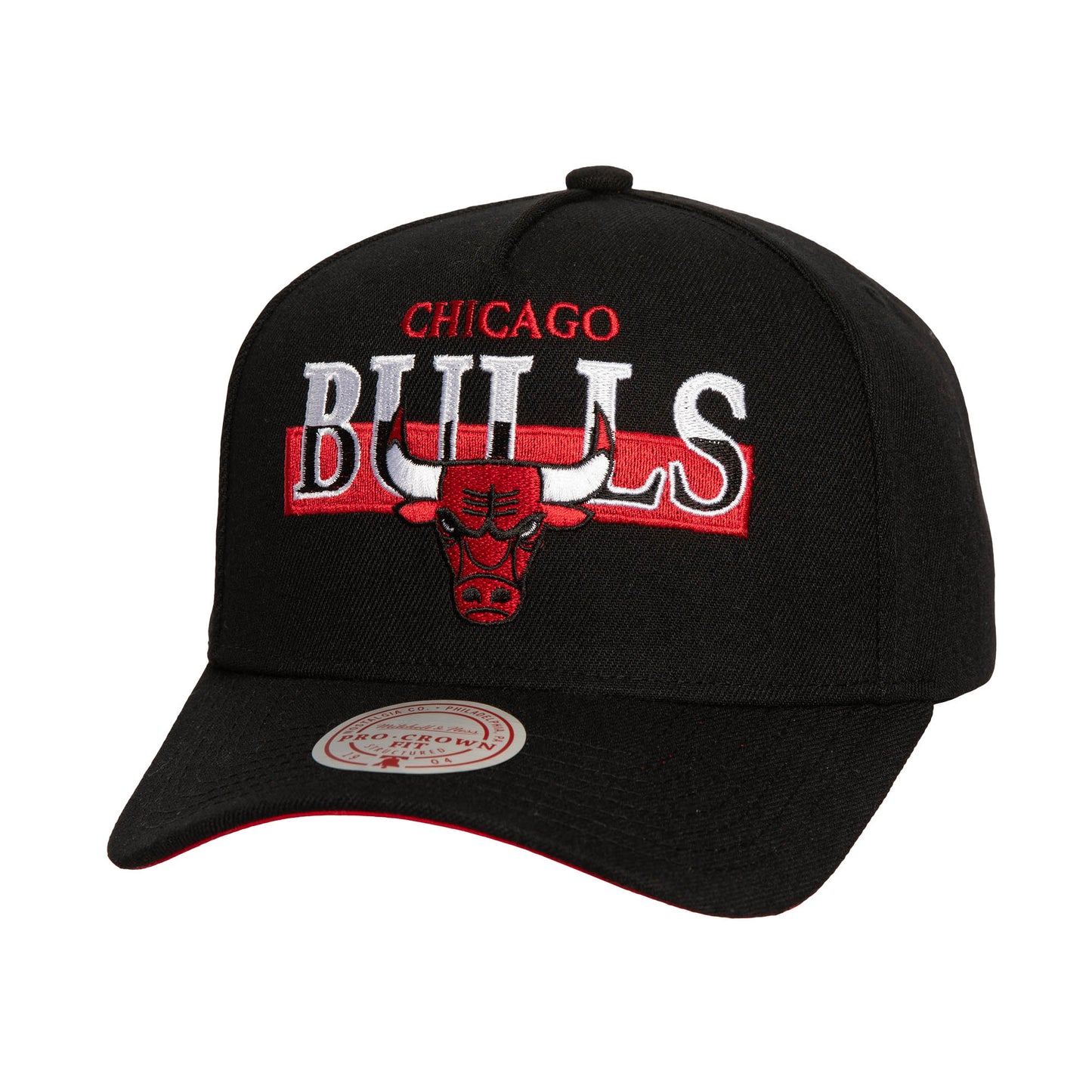Chicago Bulls Mitchell & Ness Panorec Pro Snapback Hat