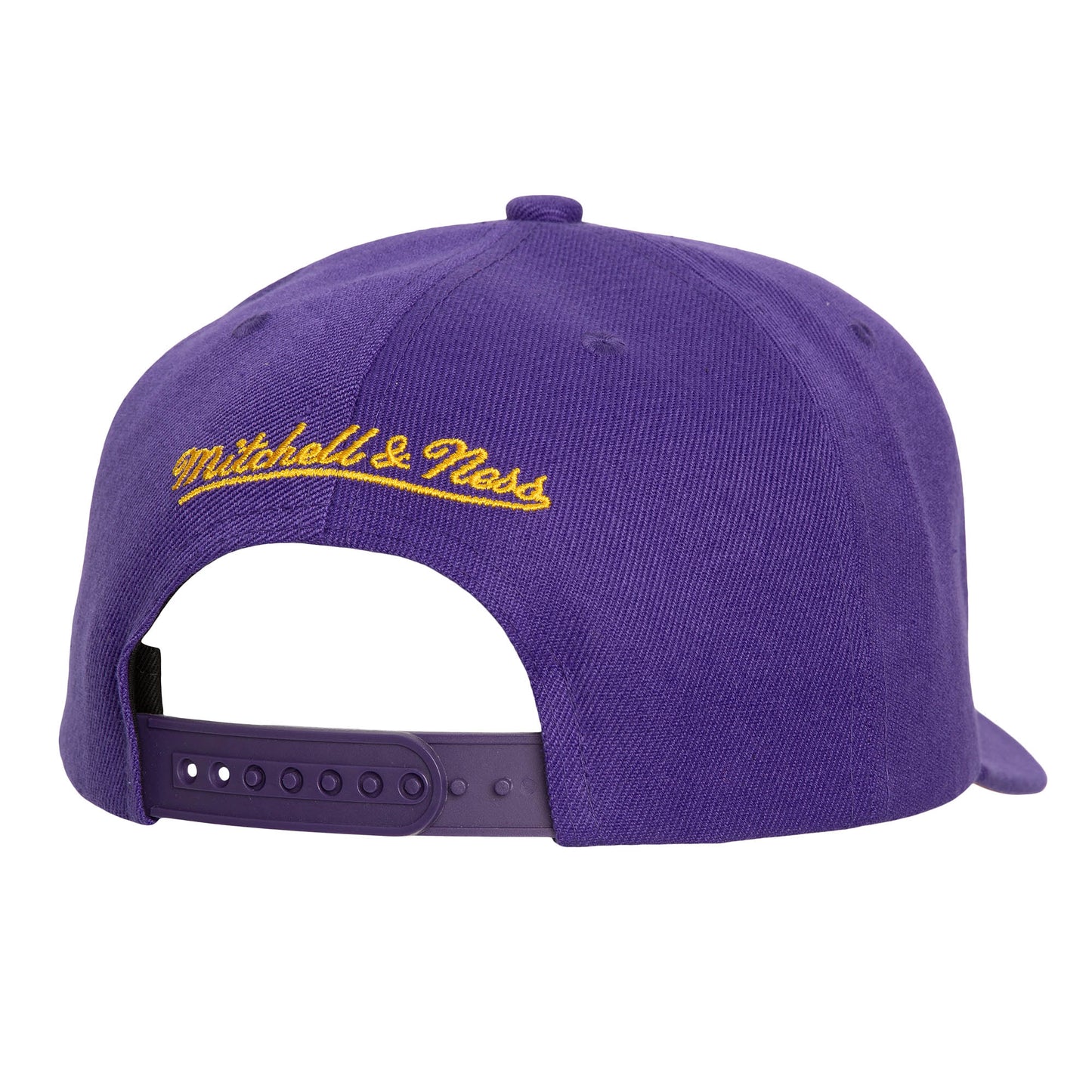 Los Angeles Lakers Mitchell & Ness Panorec Pro Snapback Hat
