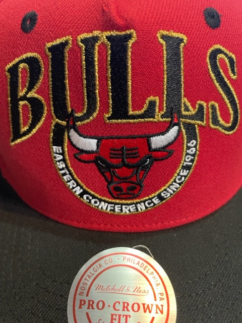 Chicago Bulls Mitchell & Ness Crown Jewels Pro Snapback
