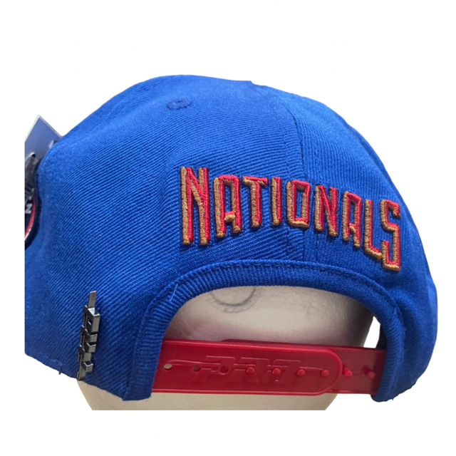 Washington Nationals Pro Standard Expos Classic Snapback- Blue/Red