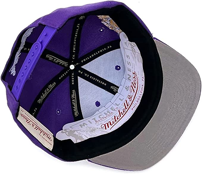 Los Angeles Lakers Mitchell & Ness 2009 NBA Champ Year Trophy Snapbck Hat - Purple