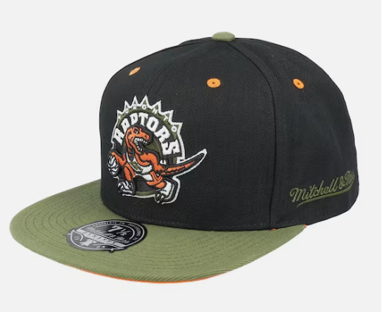 Toronto Raptors Mitchell & Ness Flight Script Fitted Hat