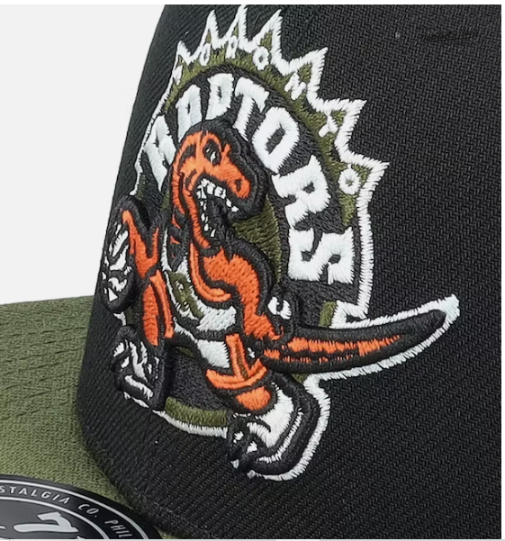 Toronto Raptors Mitchell & Ness Flight Script Fitted Hat