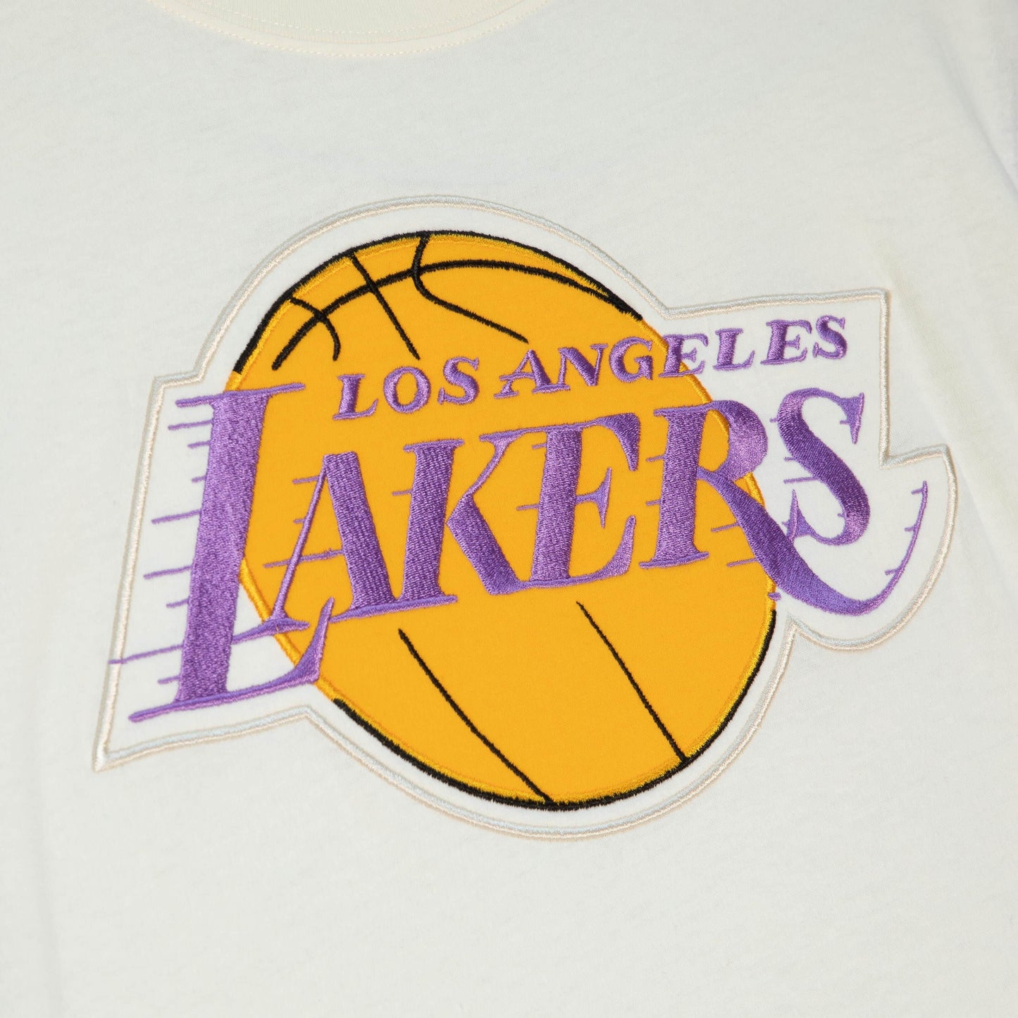 Los Angeles Lakers Mitchell & Ness Hardwood Classic Color Block T-Shirt